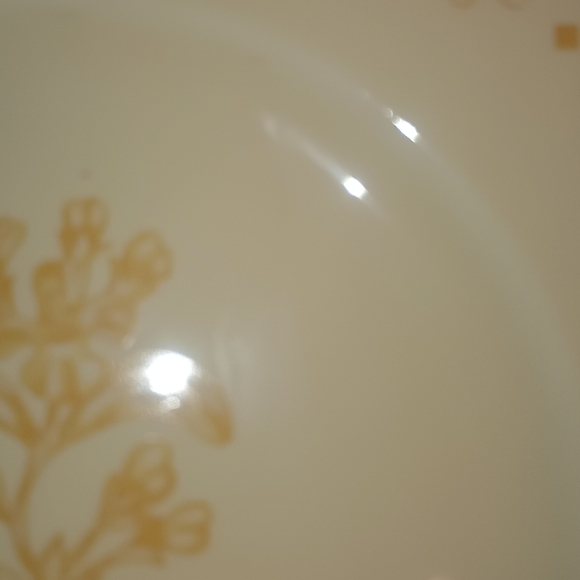 Royal Worcester herb garden salad plates - Picture 4 of 4